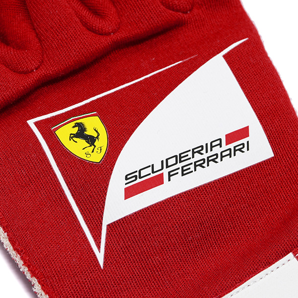 Scuderia Ferrari 2012 ɥ饤Сٵ ѥ ( )